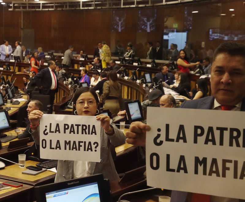 “¿La Patria o la Mafia?”: bancada oficialista exhibe carteles en sesión que decidirá el futuro de Mónica Palencia