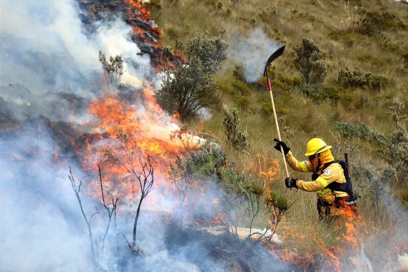 Incendio forestal en las Laderas del Pichincha.