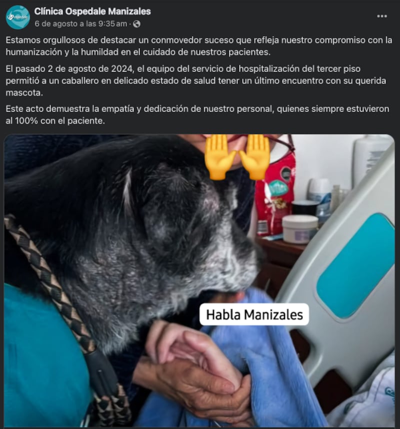 Joven logra fallecer tras despedirse de su perro