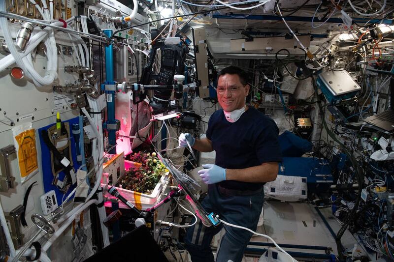 Frank Rubio en la Estación Espacial Internacional