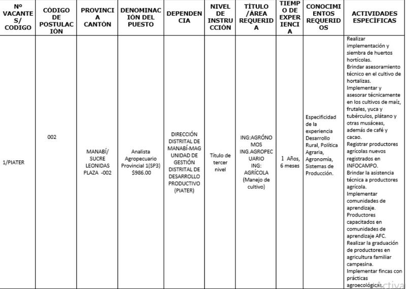 CONVOCATORIA A PROCESO DE SELECCIÓN DE PERSONAL, EN LA DIRECCIÓN DISTRITAL 13D01-PORTOVIEJO- MAG