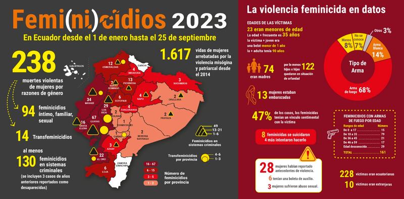 238 femicidios se contabilizan en lo que va de 2023.