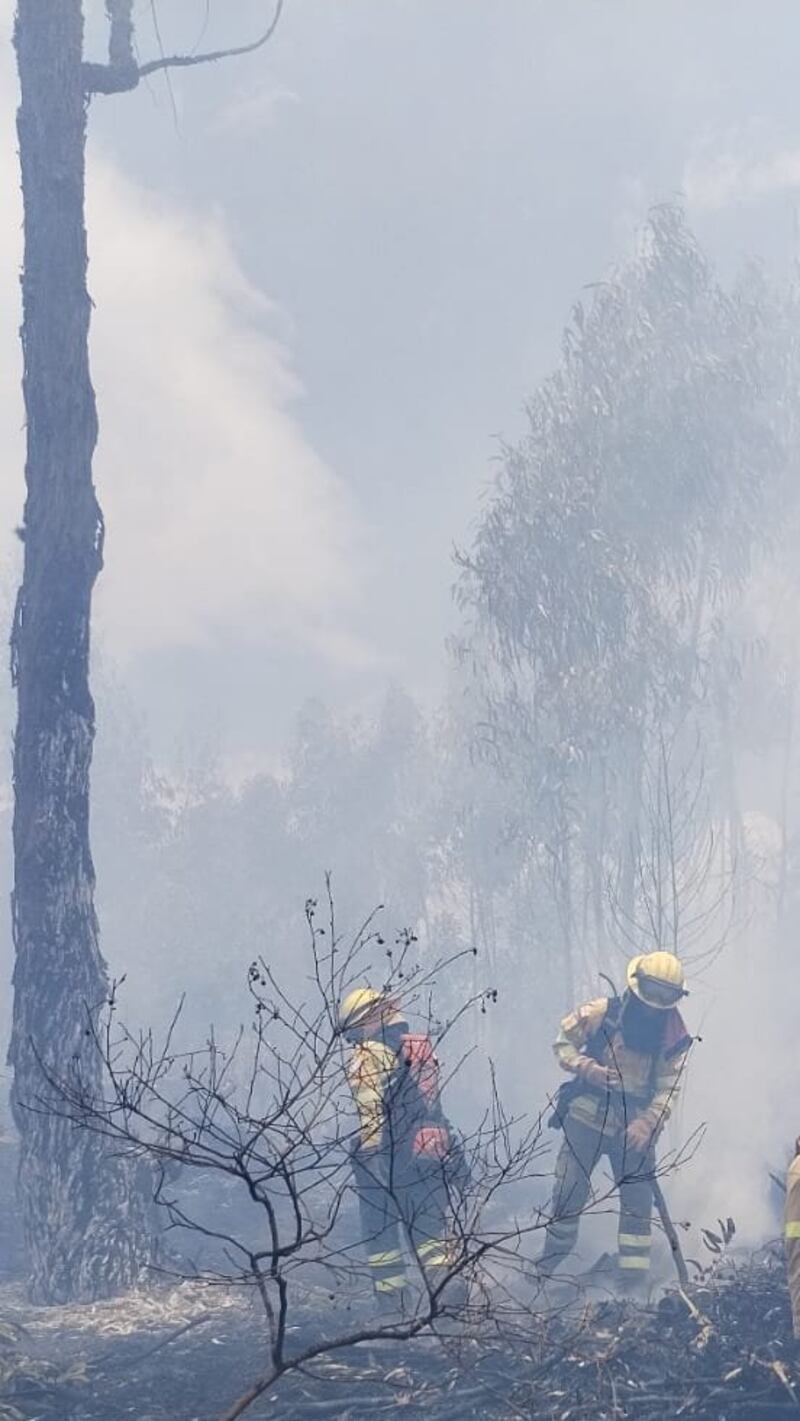 Incendio en Zabala