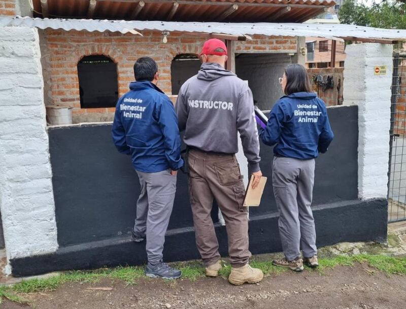 Detectan uso de collares de ahogo en centro de adiestramiento canino, en el norte de Quito