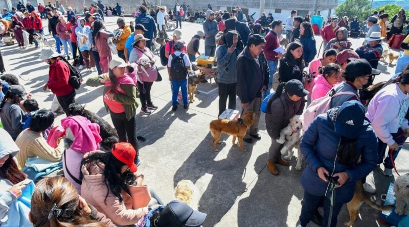 250 animales de compañía fueron esterilizados en Guamaní Alto