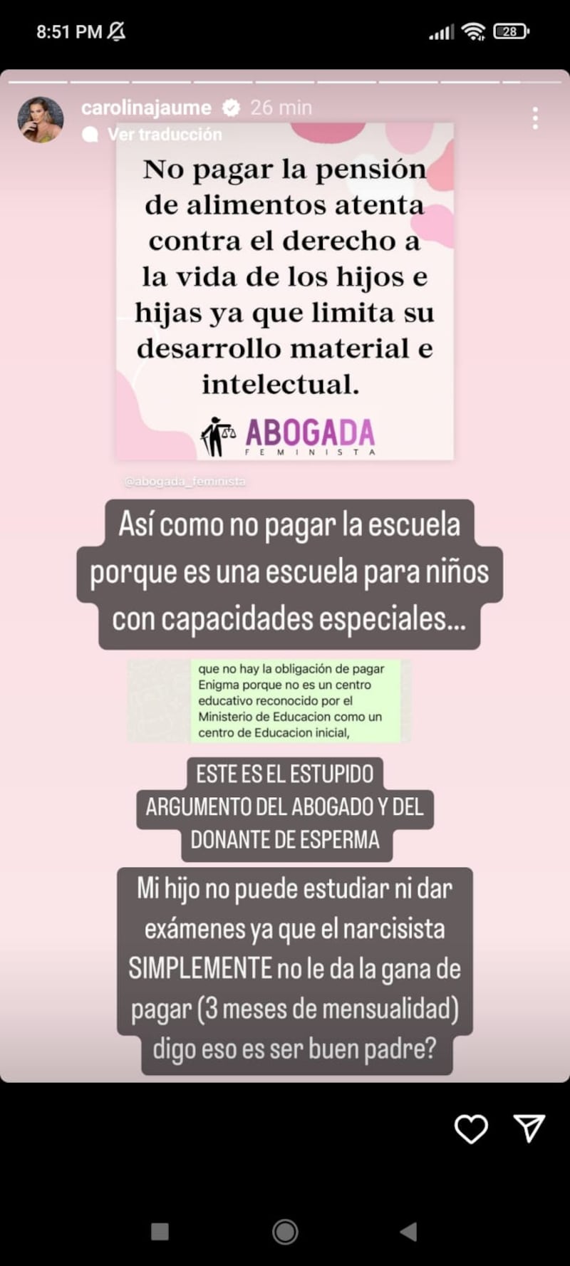 Captura de historia de Instagram de Carolina Jaume