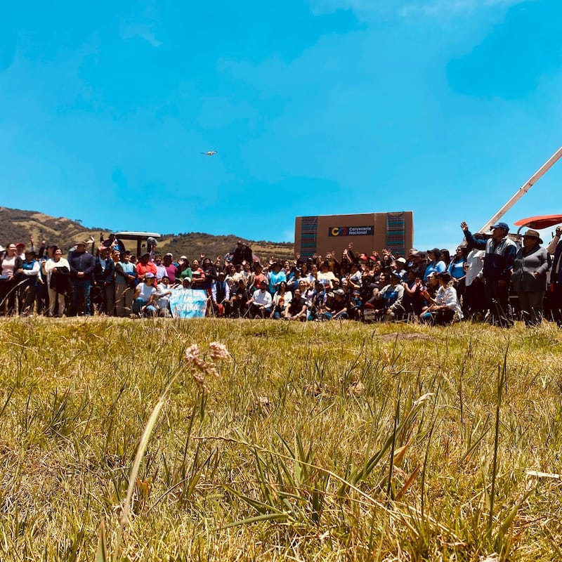 Más de 2.500 agricultores del programa Siembra por Contrato fueron homenajeados